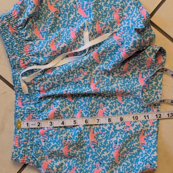 Chubbies Flamingo Pattern Swim Trunks Light Blue And Pink Size S - Picture 4 of 10